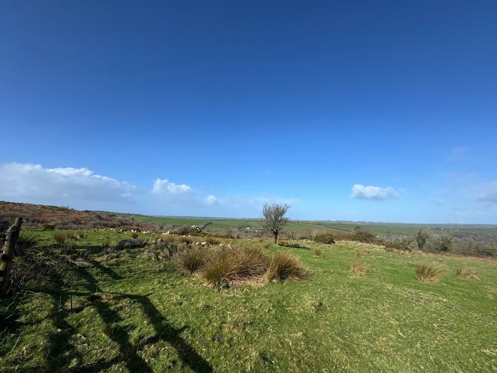 A grassy area with a tree and hills in the background at Tor Farm Advent near Camelford