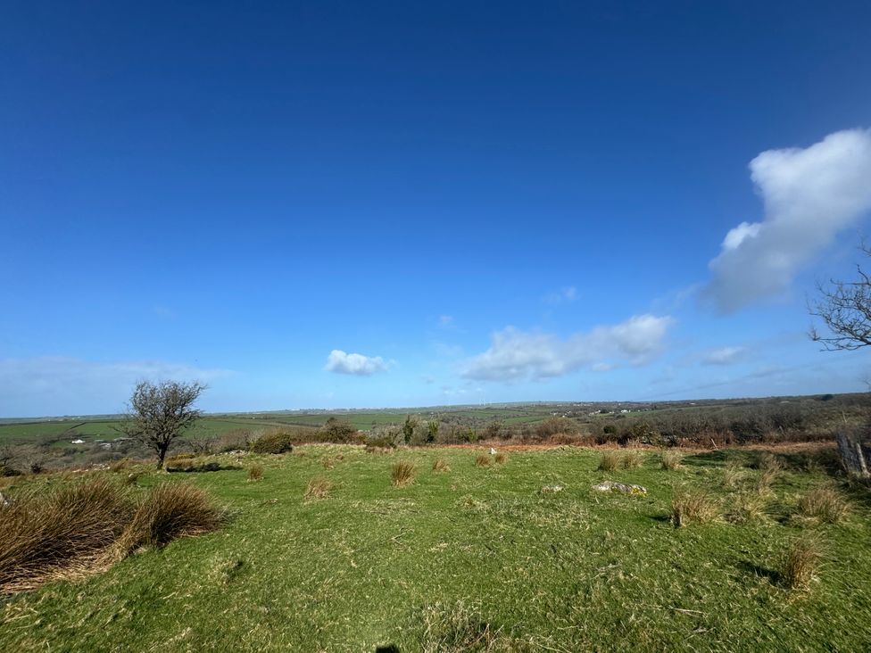 An open field with grass and trees at Tor Farm Advent near Camelford