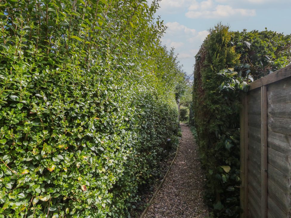 A pathway bordered by hedges in a garden at Isla cottage