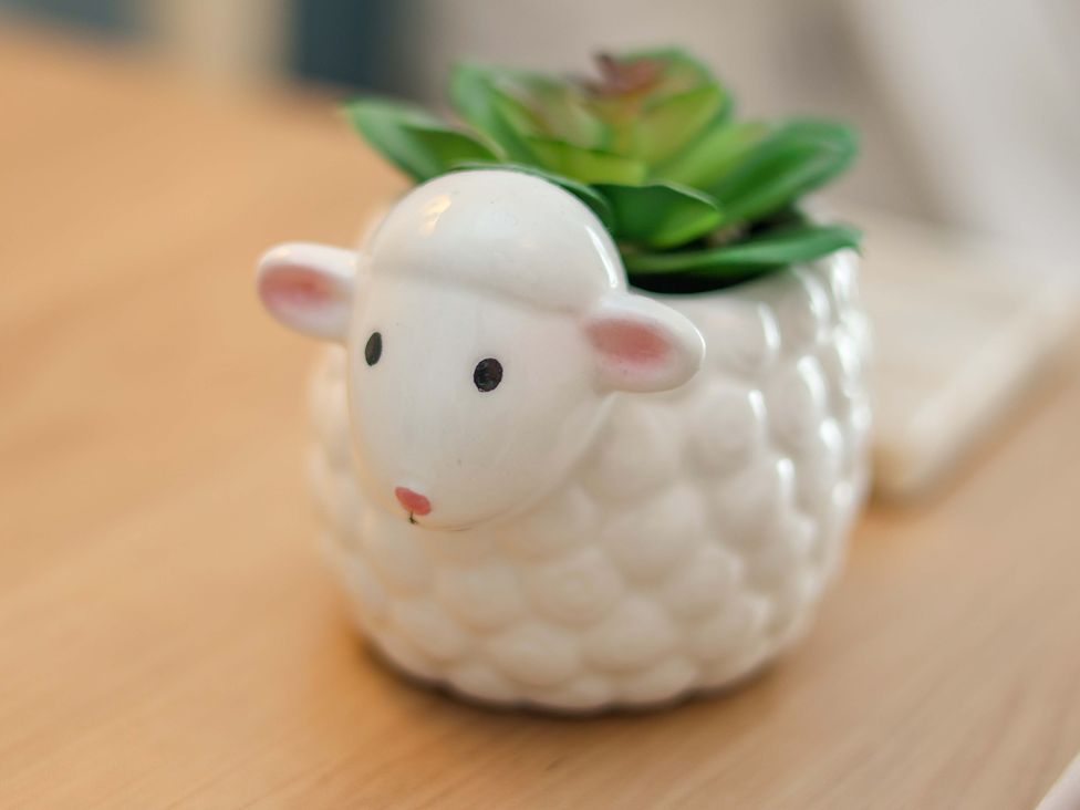 A sheep shaped plant pot with a succulent on a wooden table at 1 Rosedale Abbey