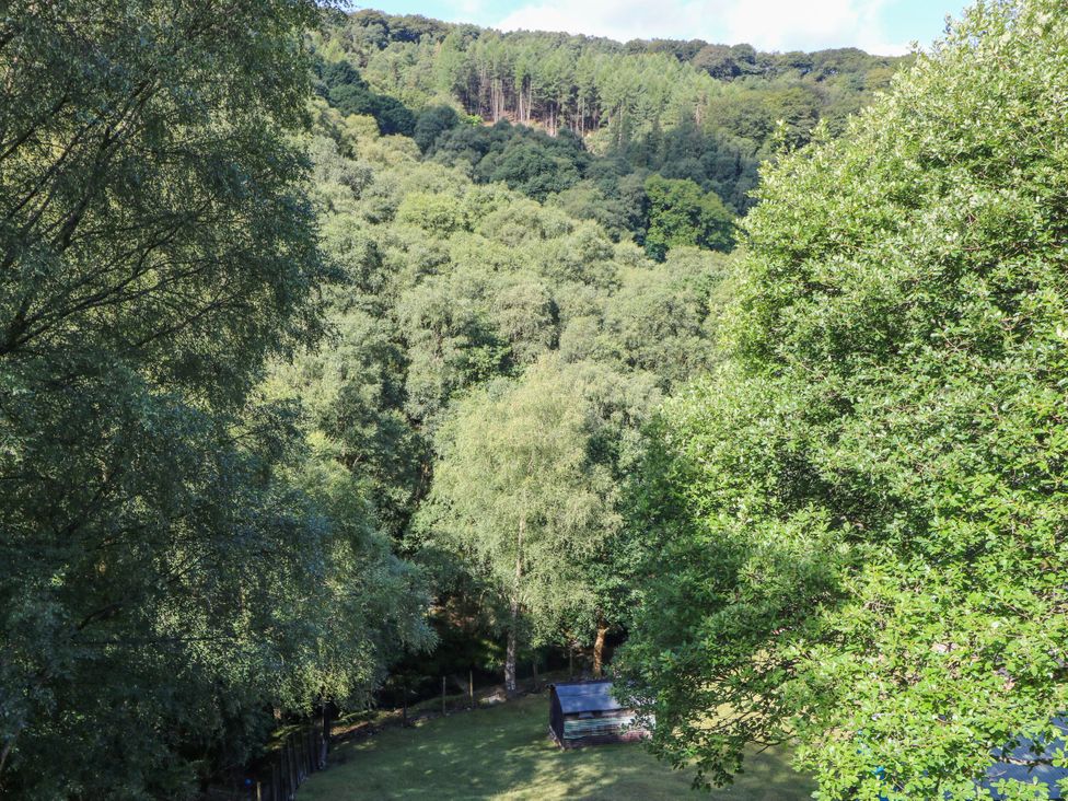 An outdoor view of trees and a shed at Cragg Hall View in Cragg Vale