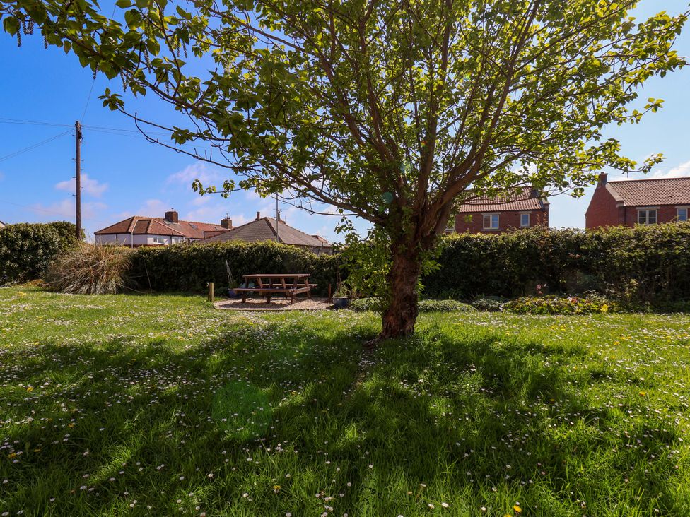 A garden with a tree and picnic table at Seashells at Runswick Lodge in Runswick Bay