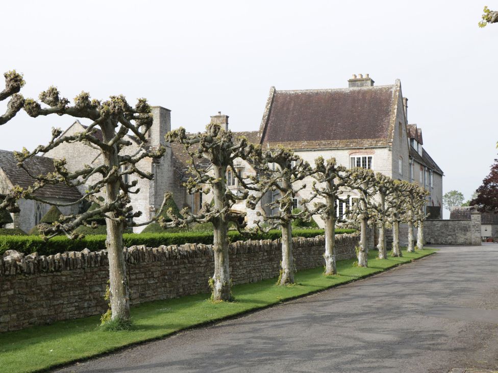 A house and trimmed trees along a road at Olive Cottage in Richmond