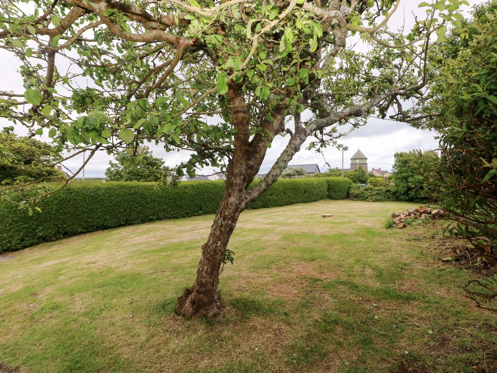 A garden with a tree and grass at Beacon House Marloes near Little Haven