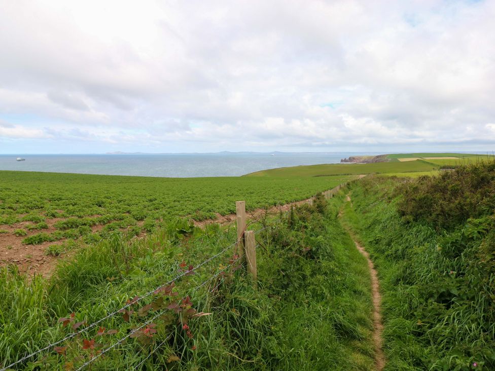 A pathway leading through a field to the ocean at Beacon House Marloes near Little Haven