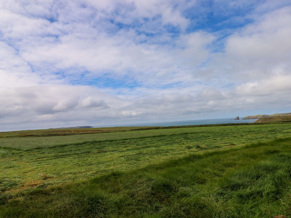 A landscape featuring grass and the ocean at Beacon House in Marloes near Little Haven
