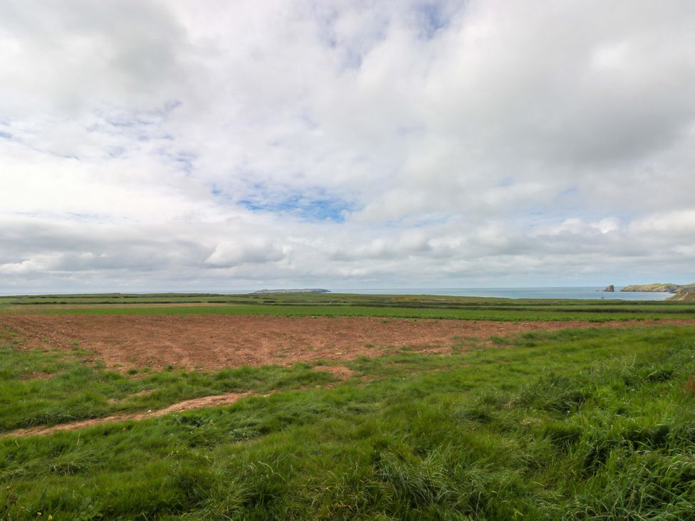 A field with grass and sea in the distance at Beacon House in Marloes near Little Haven
