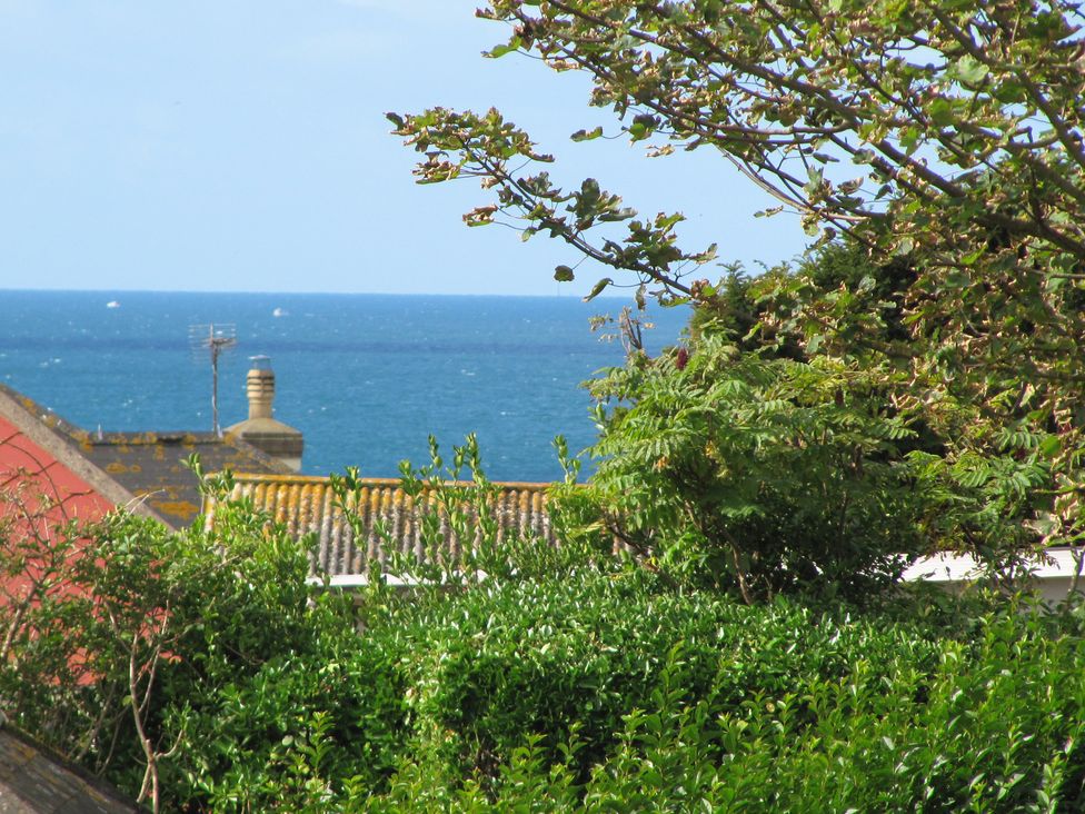 A view of the sea and foliage at Hope Cove near Kingsbridge