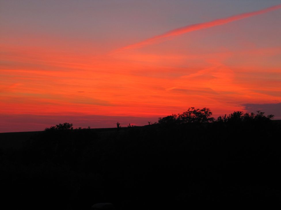 A sunset with silhouetted trees at Hope Cove near Kingsbridge