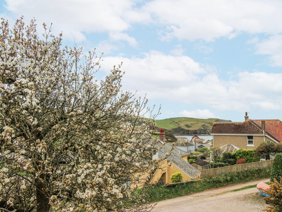 A view of houses and a tree in a rural area at Quay Sands, Hope Cove