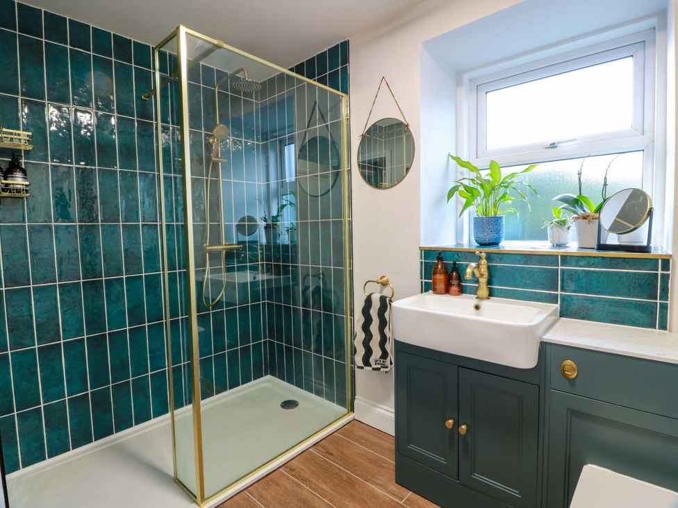 A bathroom with a shower, sink, and plants at 7 Brewery Pool in Newton Stewart