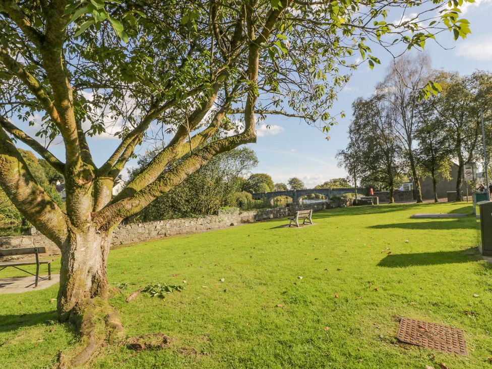 A park scene with a tree and bench at 7 Brewery Pool in Newton Stewart