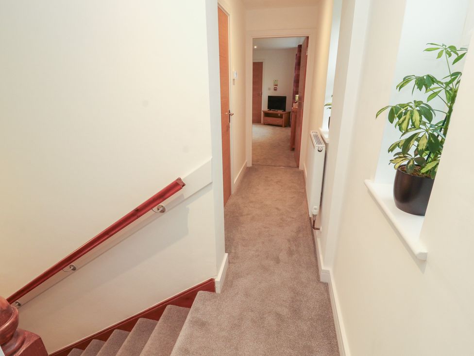 A hallway with a staircase and a plant at Little Plum Tree in Milnthorpe