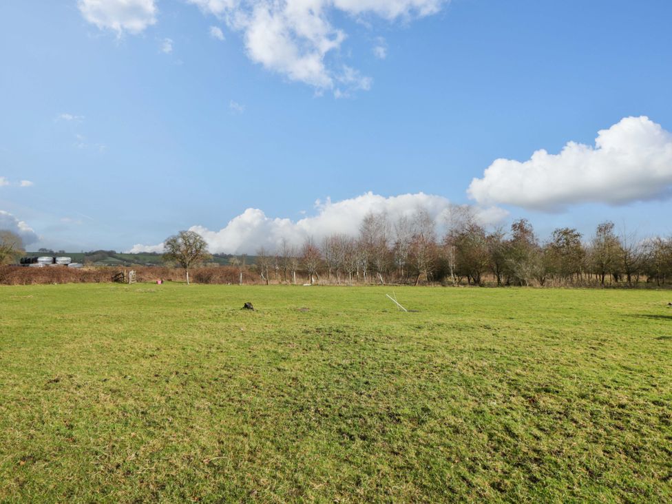 An open field with trees and clouds at Bengrove Wood Lodge in Shepton Mallet