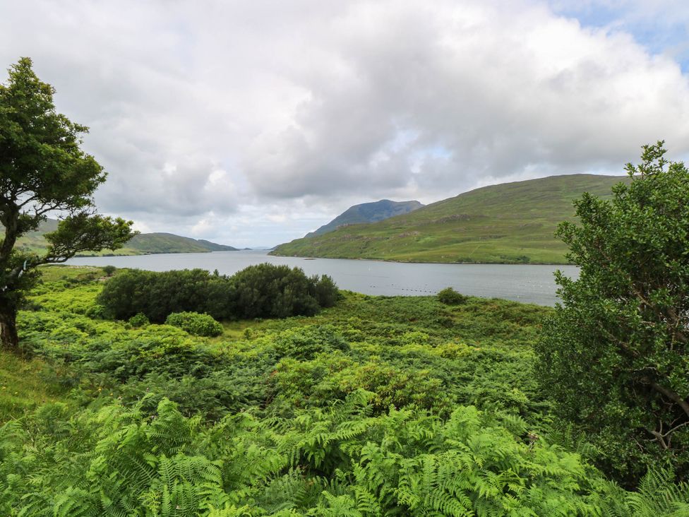 A lake surrounded by bushes and mountains at The Cottage in Leenane, County Galway