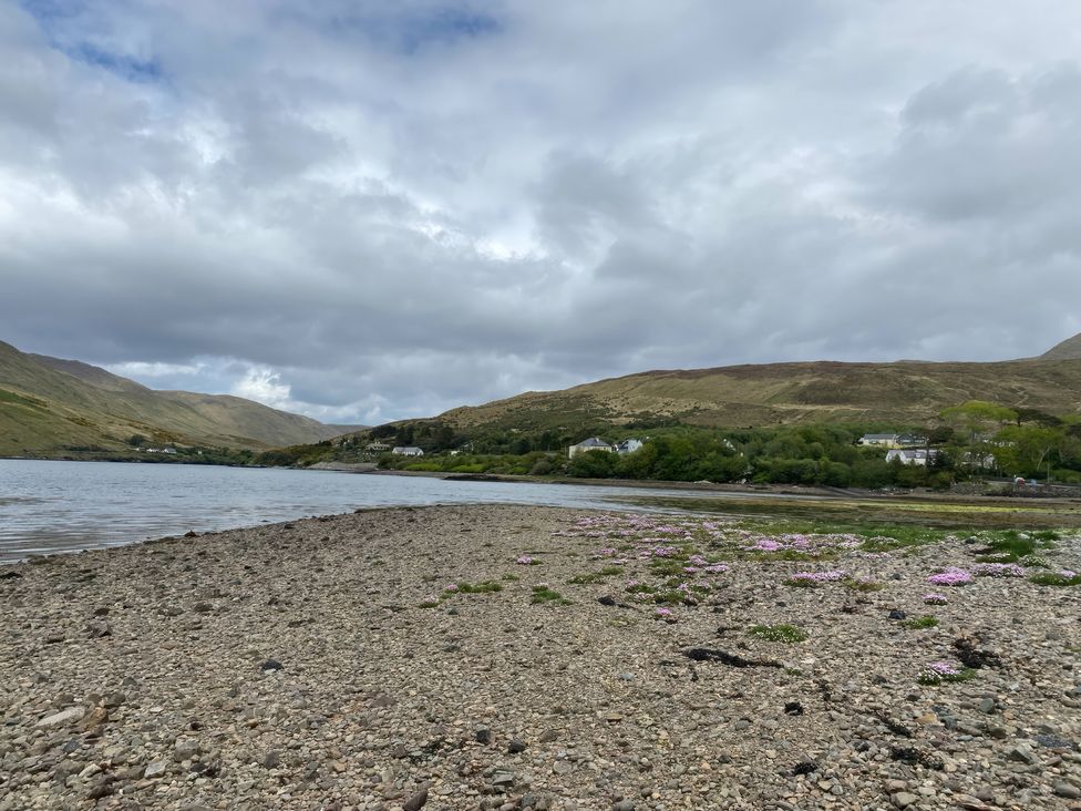 A beach area with rocks and flowers near the water at The Cottage in Leenane, County Galway