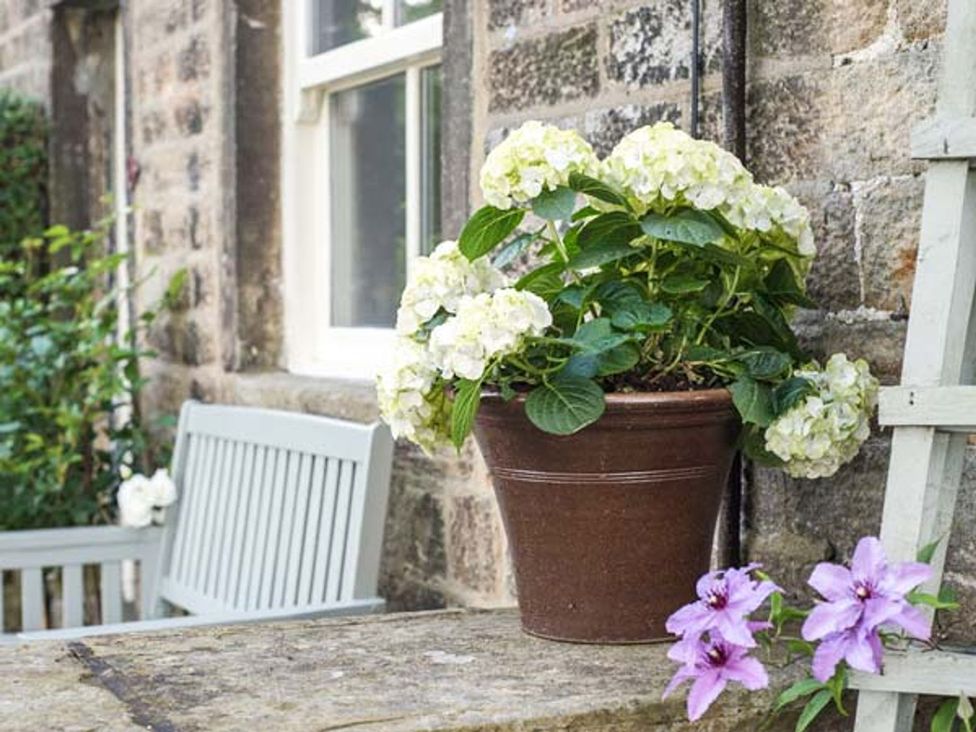 A plant in a pot beside a bench at Beacon Cottage in Ilkley