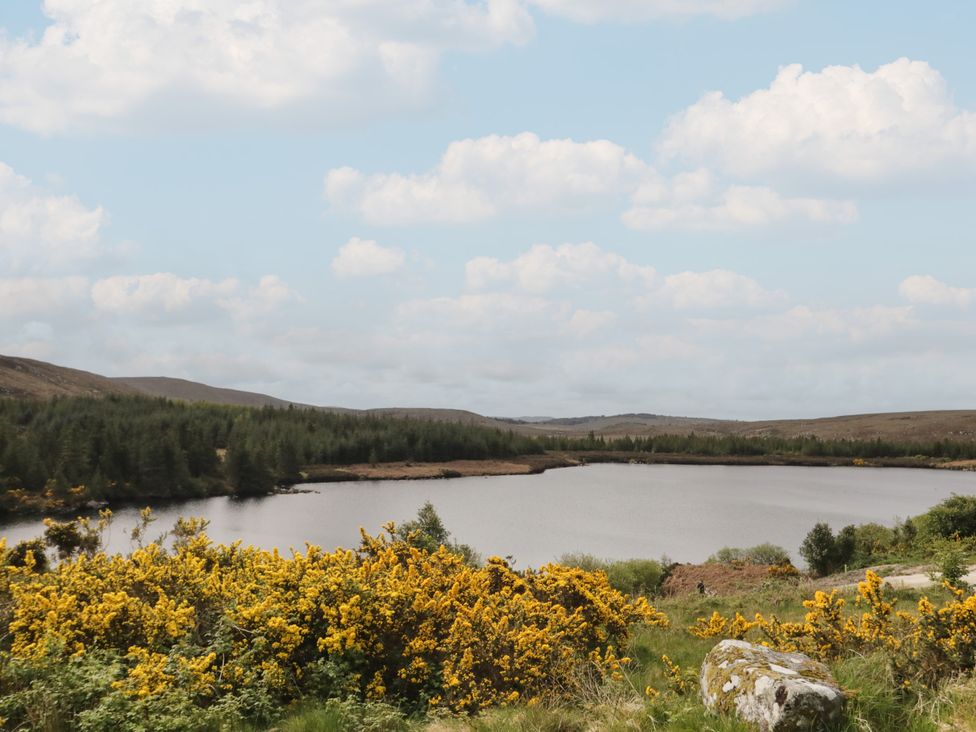 A lake with trees and yellow flowers at Hanowen House, Dungloe, County Donegal