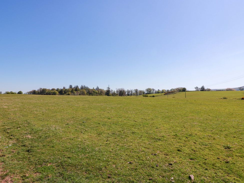 A landscape view with grass and trees at Ledrishmore View in Alexandria