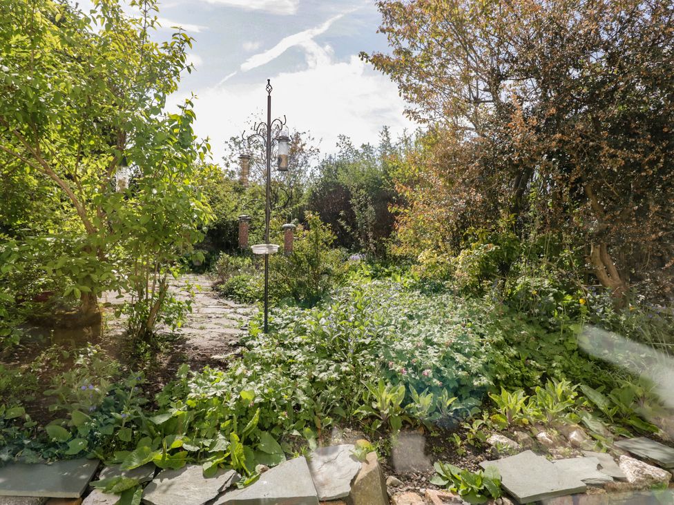 A garden with plants and a bird feeder at Fellfoot Cottage