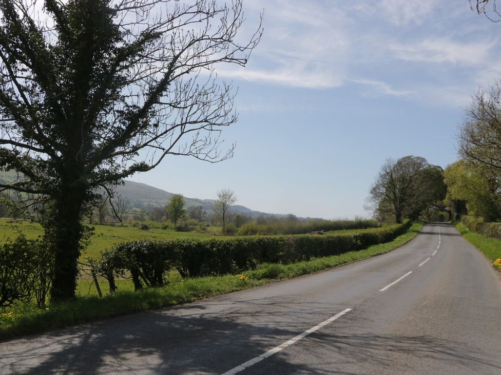 A road lined with trees and hedges near a field at Fellfoot Cottage