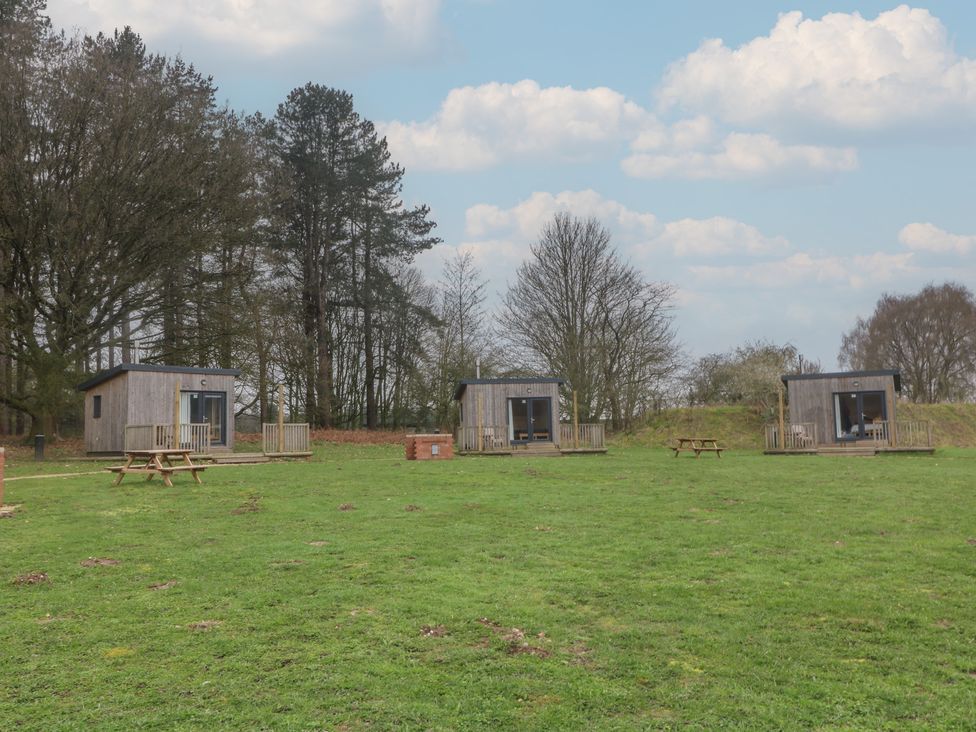 Sherwood Pines - Cosy Pod 1 -  - 1197598 - thumbnail photo 15