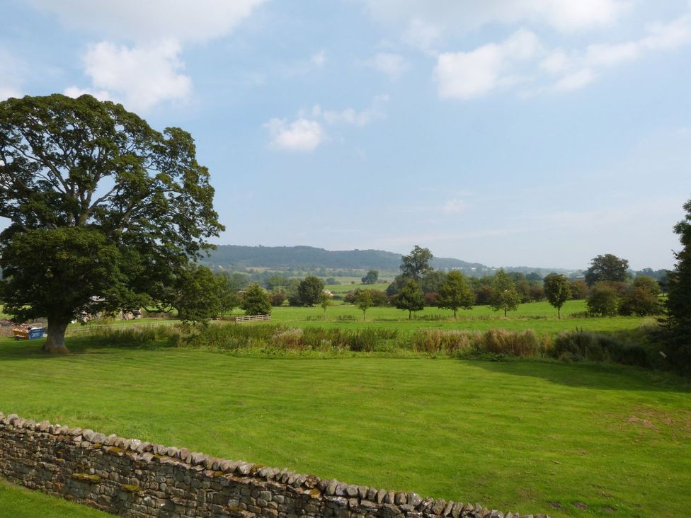 A landscape with trees and a stone wall at The Bothy in Leyburn