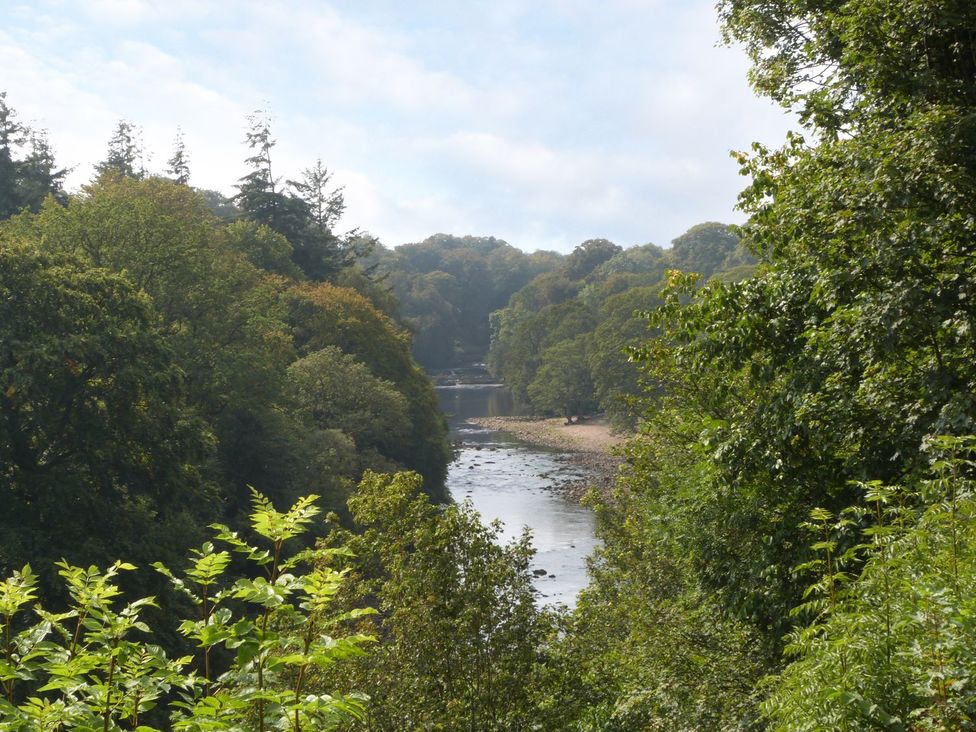 A view of a river surrounded by trees at The Bothy in Leyburn
