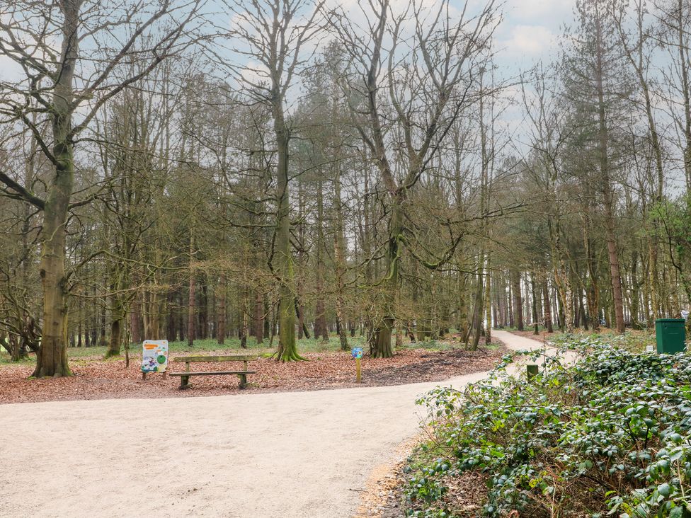 A path through trees with a bench and sign in the woods at Sherwood - Cosy Pod 2 Mansfield