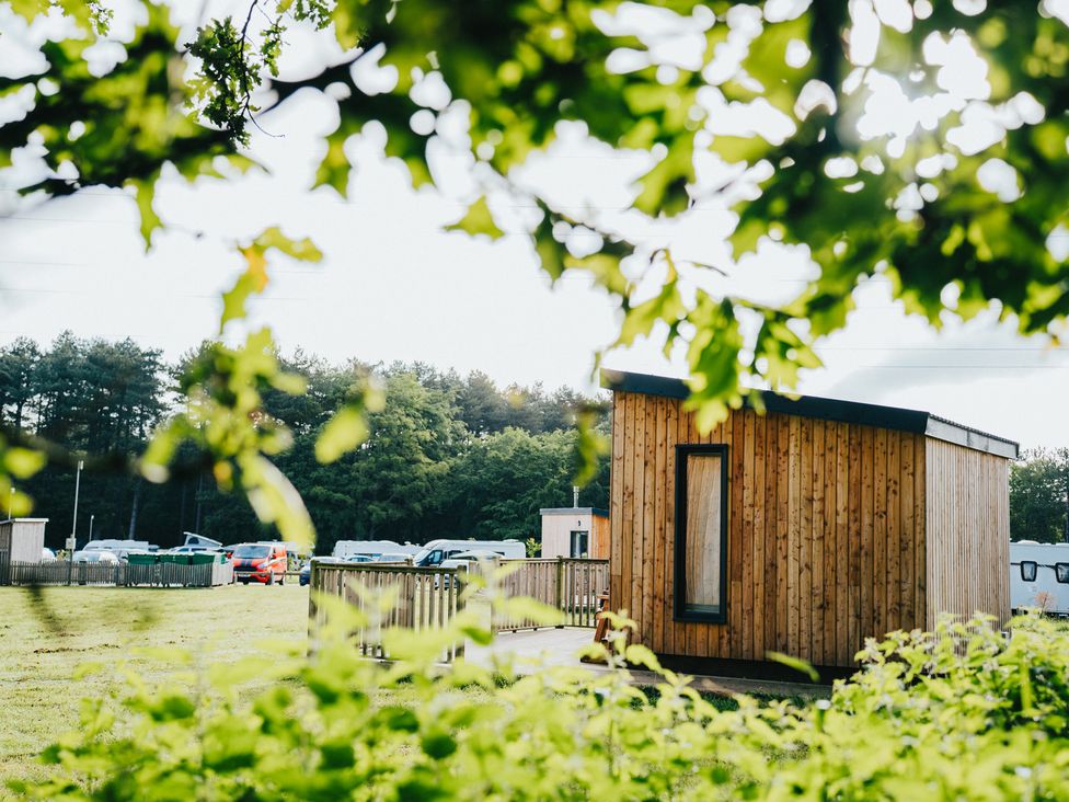 A wooden cabin with cars and trees at Sherwood - Cosy Pod 2 in Mansfield