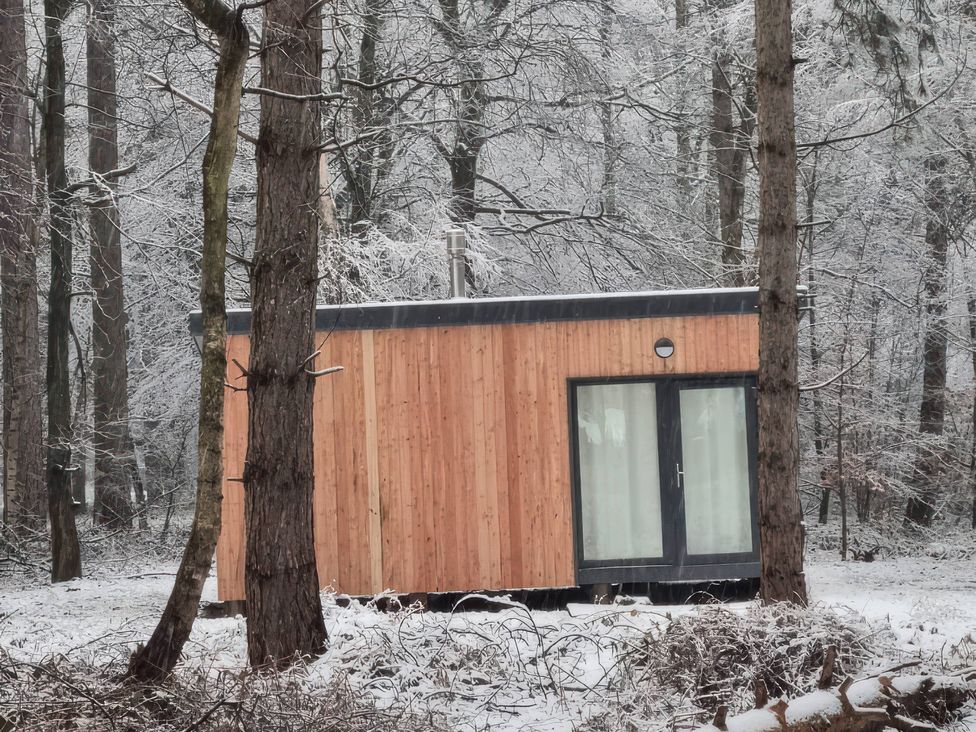 A cabin surrounded by trees in a snowy forest at Sherwood - Cosy Pod 2 Mansfield