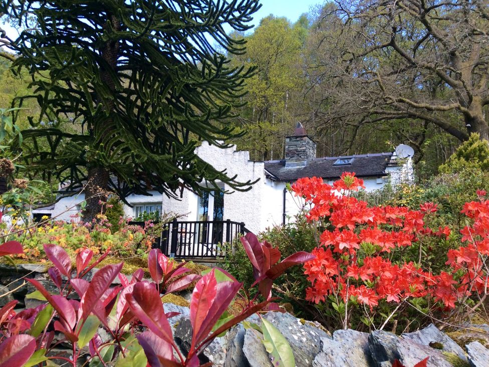 A house with a garden featuring flowers and trees at The Dove Cot in Ambleside