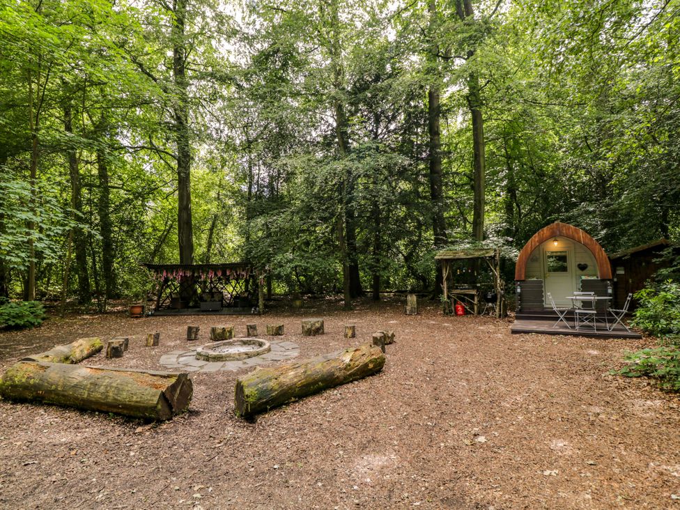 Daisy Glamping Pod - Hampshire - 1197649 - thumbnail photo 17