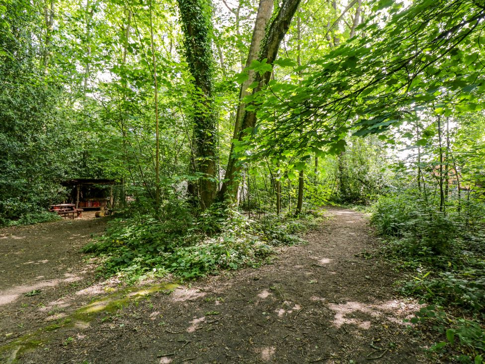 A path in a forest with a picnic table at Daisy Glamping Pod in Woolton Hill