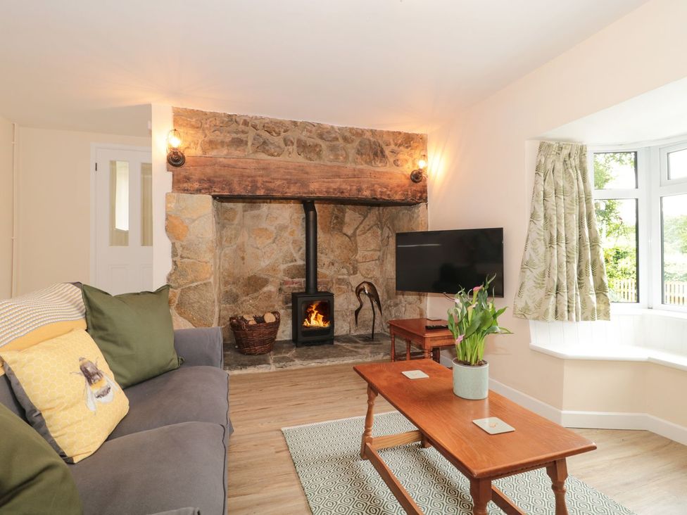 A living room with a fireplace and television at Ammerham Farm Cottage in Ammerham near Winsham