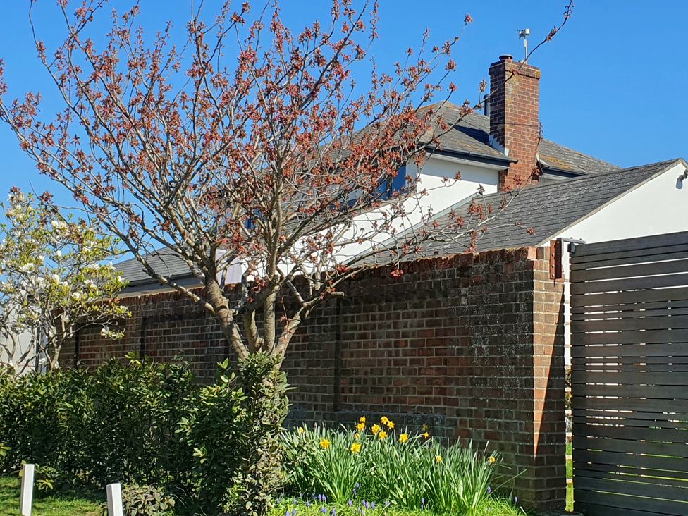 A garden view with tree and flowers at Island Retreat in Colchester