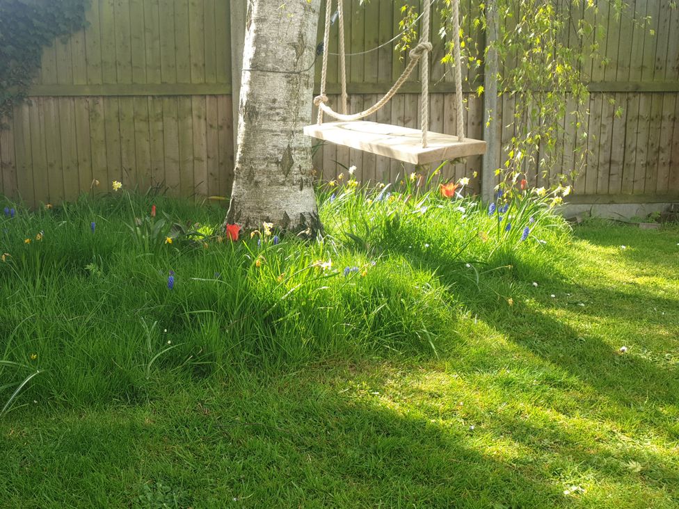 A garden with a swing hanging from a tree at Island Retreat in Colchester