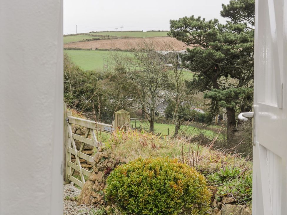 A view of the landscape with trees and a gate at The Old Studio in Penzance