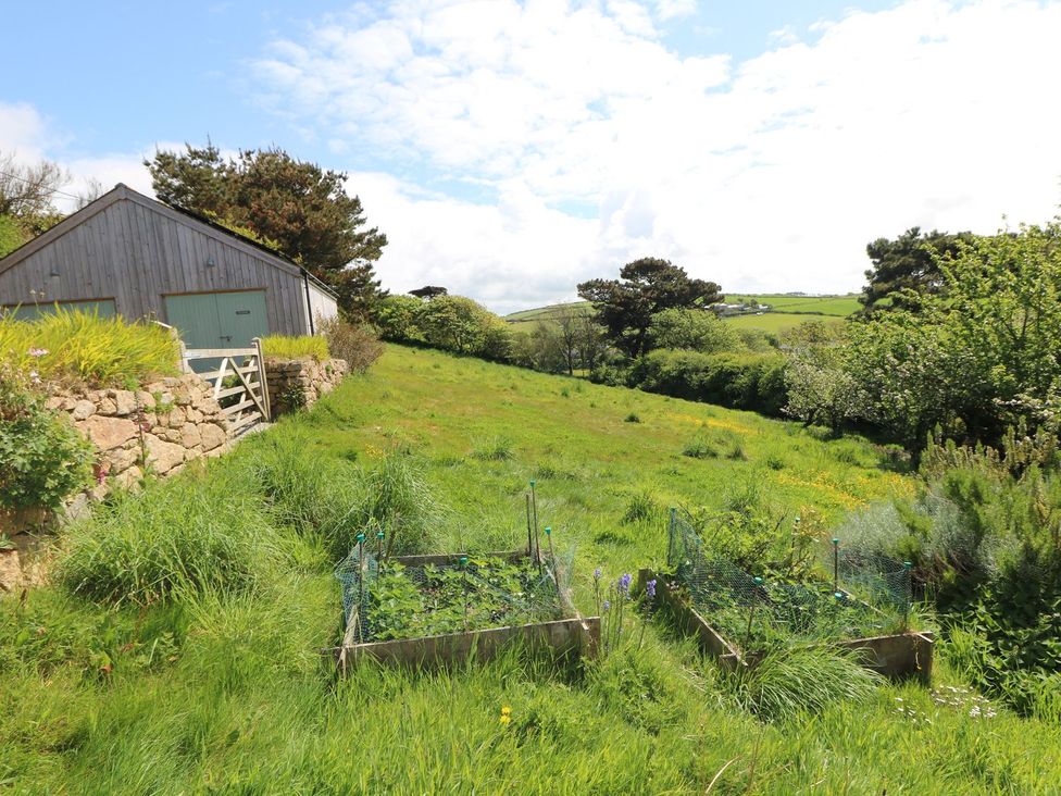 An outdoor area with a shed and garden beds at The Old Studio in Penzance