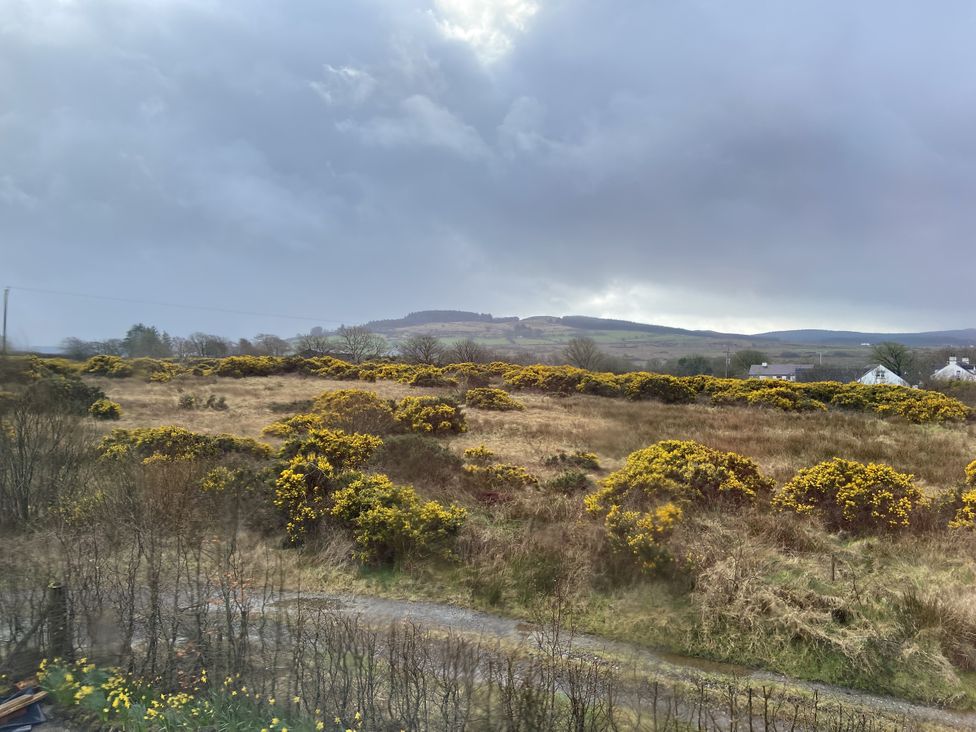 A field with yellow flowers and bushes in the background at The Loft - 96B