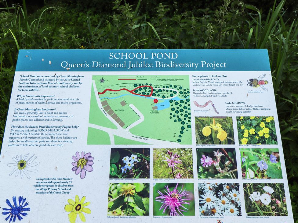 A sign about the School Pond and biodiversity project at Queen's Diamond Jubilee