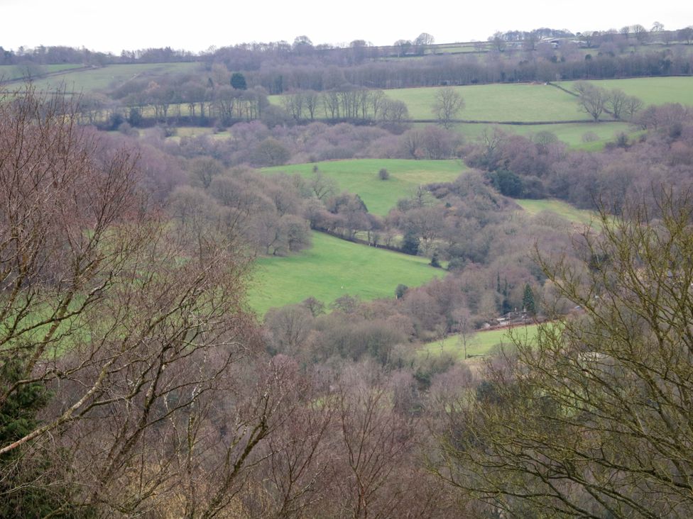 A view of fields and trees at Nature’s Retreat in Matlock