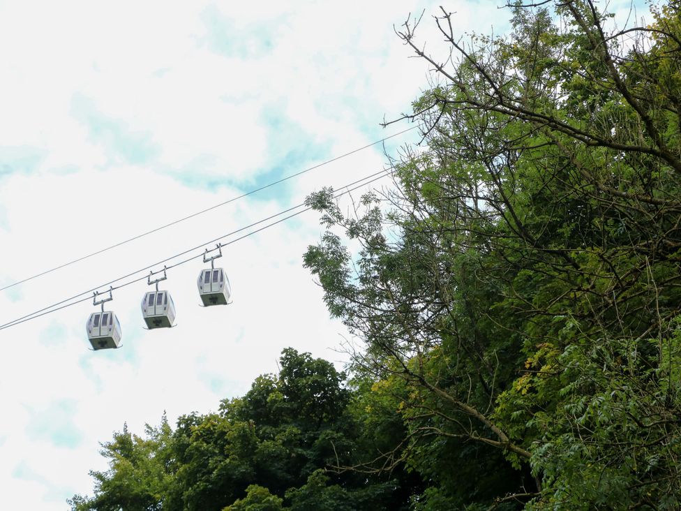 Three gondolas on a cable above trees at Nature’s Retreat in Matlock