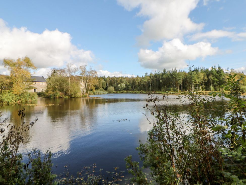 A lake surrounded by trees at Nature’s Retreat in Matlock