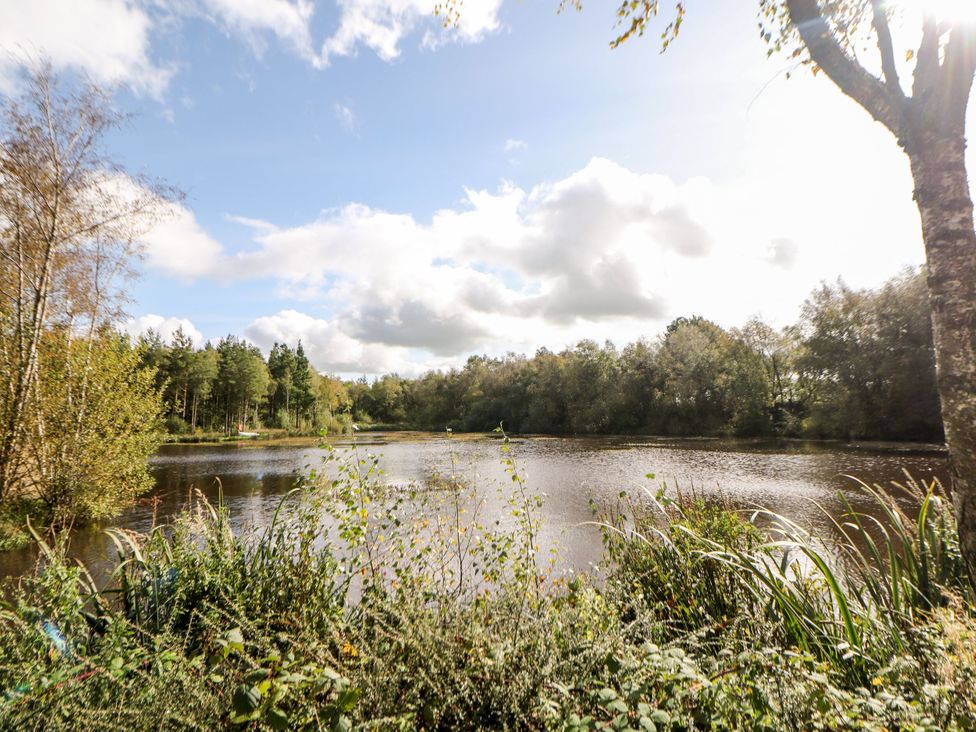 A lake surrounded by trees and plants at Nature's Retreat in Matlock