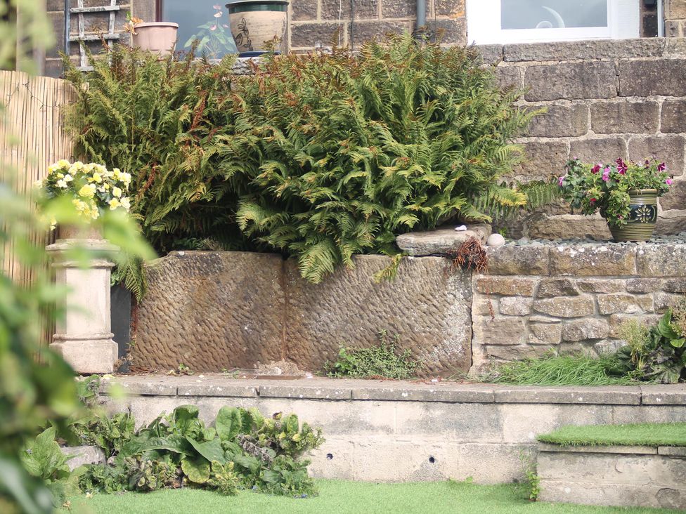 A garden with ferns and flower pots at Nature’s Retreat in Holloway