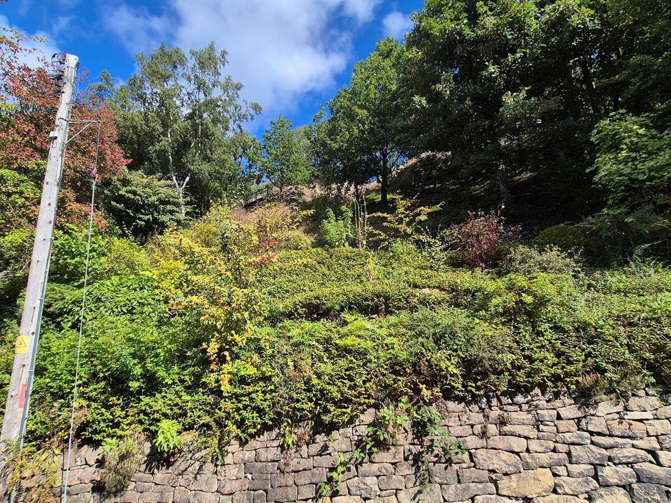 A hillside with plants and trees at Nature’s Retreat in Holloway