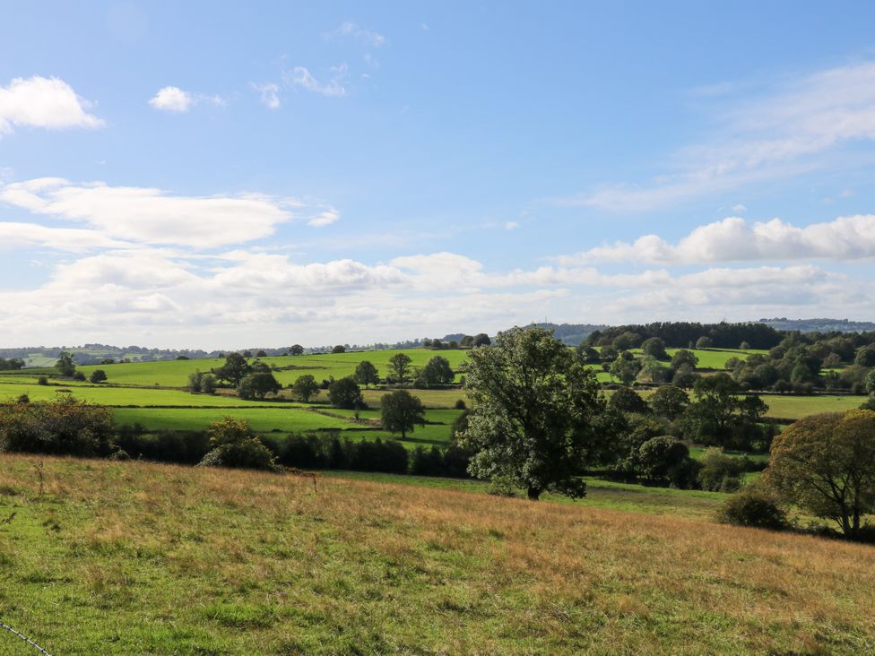 A view of fields and trees at Nature’s Retreat in Holloway