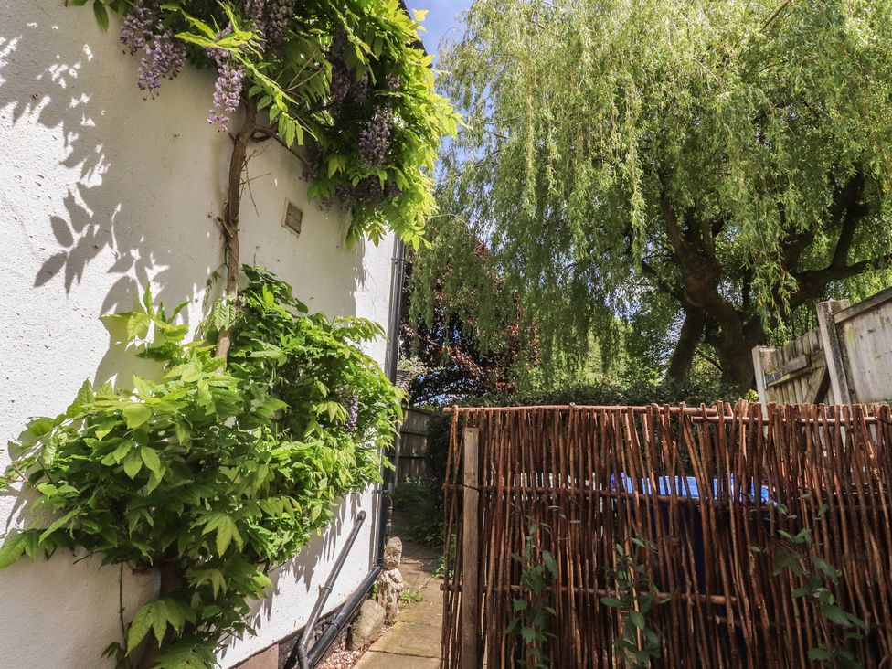 A garden with vines on a wall and a wooden fence at 47 Grape Lane in Croston