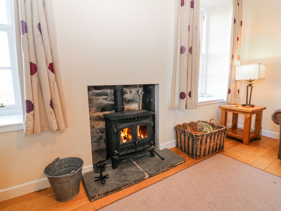 A living room with a wood stove and a lamp at Meadowgreen Farmhouse in Forfar